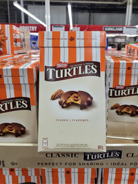 Thumbnail for Image of Nestle Turtles - 1 x 800 Grams