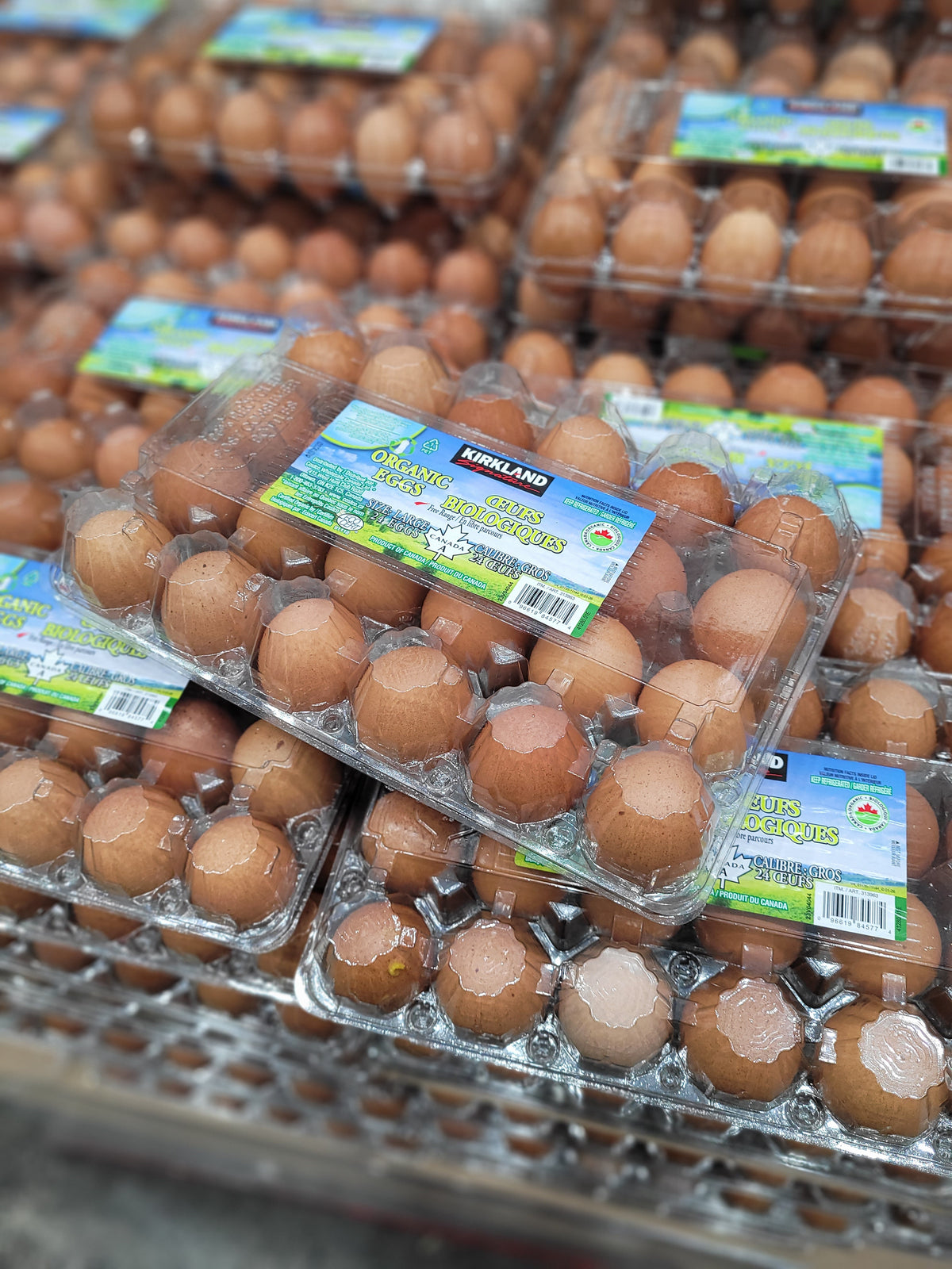 Kirkland Organic Large Eggs 24-Pack - 1 x 1.509 Kilos