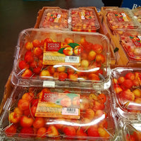 Thumbnail for Image of Rainier Cherries - 1 x 907 Grams