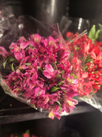 Thumbnail for Flowers 1 Bunch *ship at own risk - 1 x 2 KG