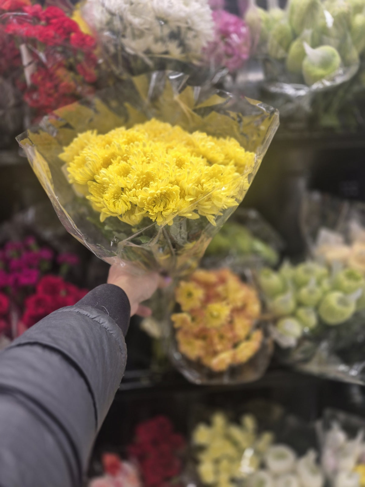 Flowers 1 Bunch *ship at own risk - 1 x 2 KG