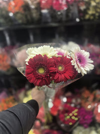 Thumbnail for Flowers 1 Bunch *ship at own risk - 1 x 2 KG