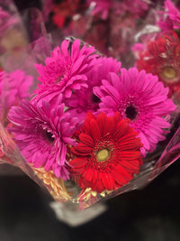 Thumbnail for Flowers 1 Bunch *ship at own risk - 1 x 2 KG