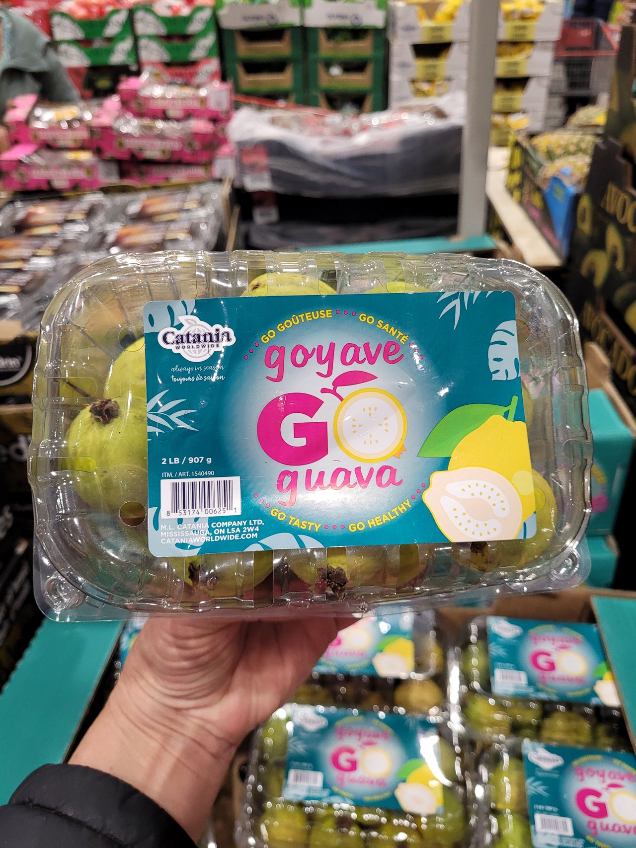 Image of Guavas - 1 x 907 Grams