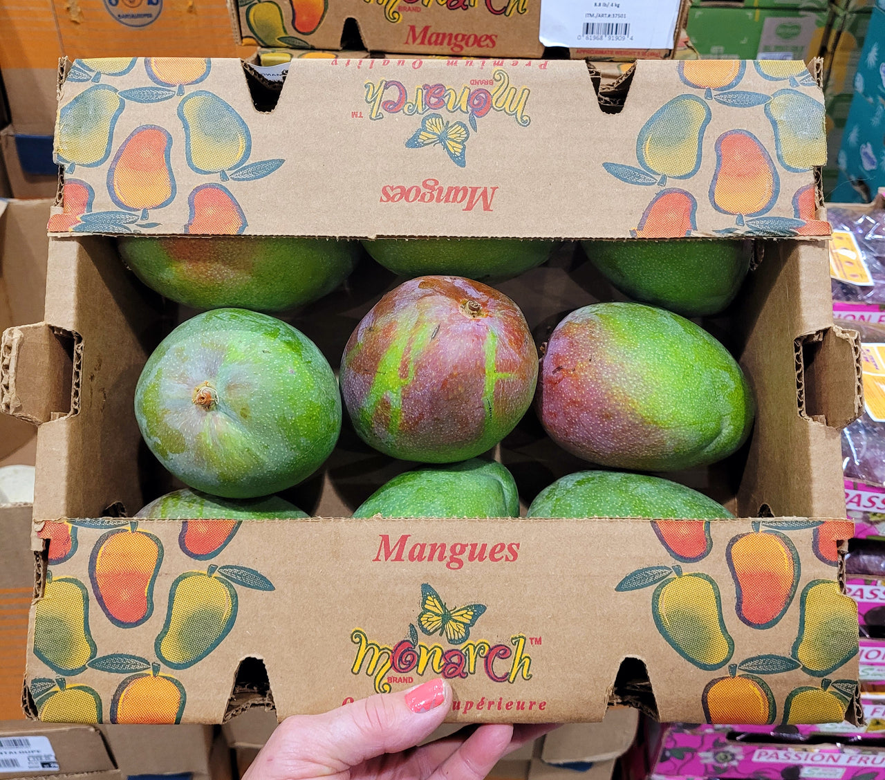 Image of Red Mangoes - 1 x 4 Kilos