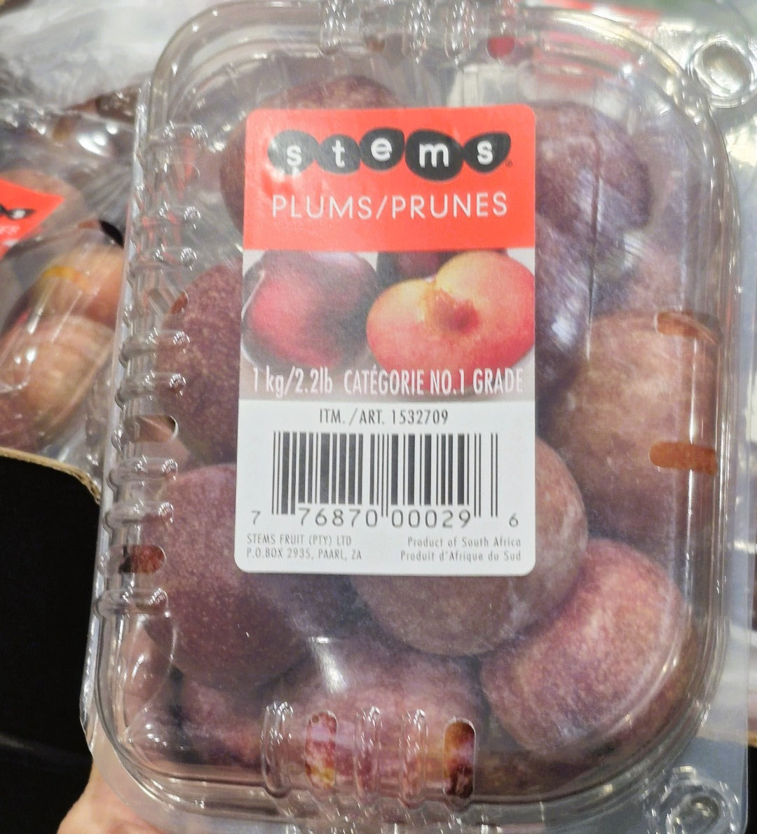 Image of Plums - 1 x 1 Kilos
