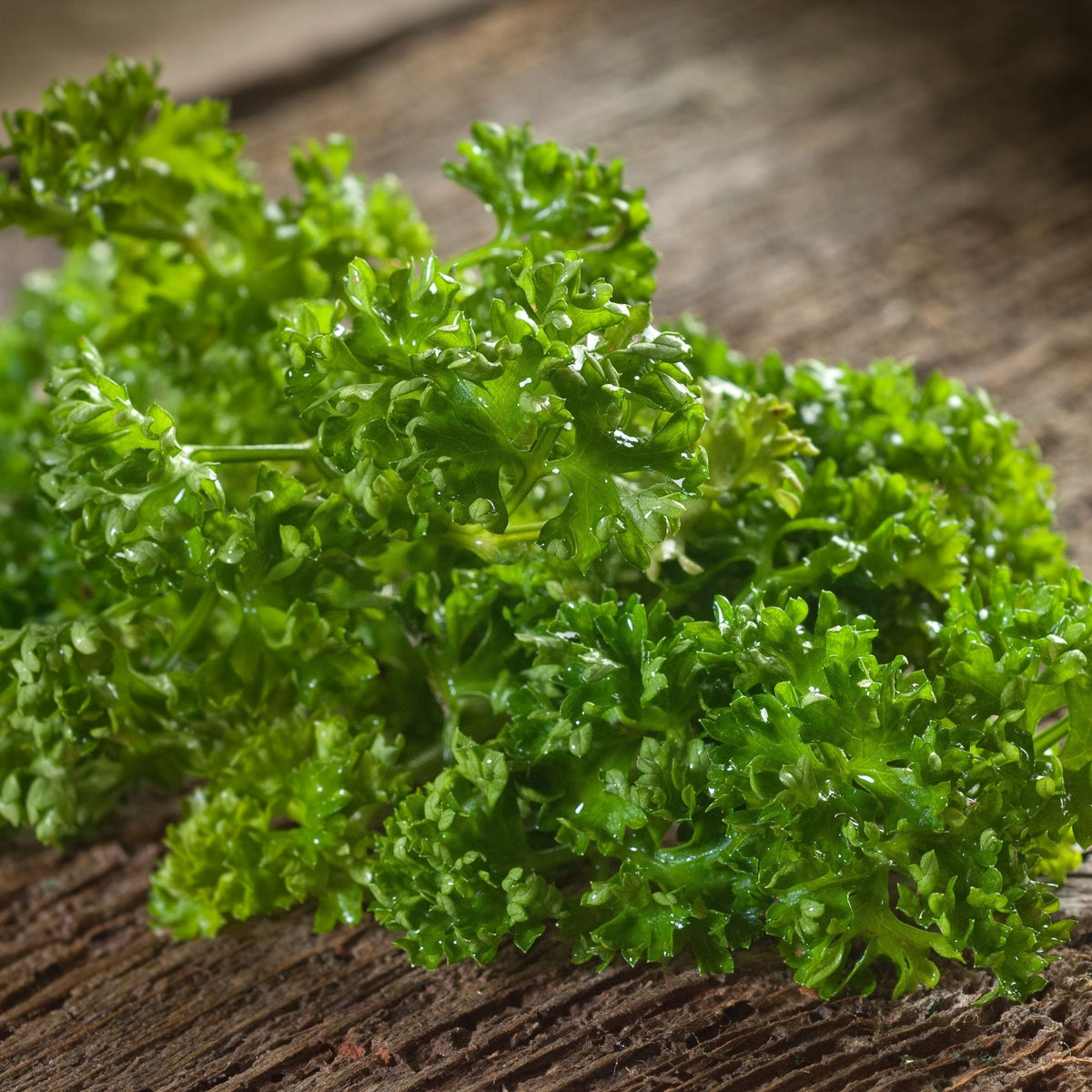 Parsley Curly Bunch - 1 x 180 Grams