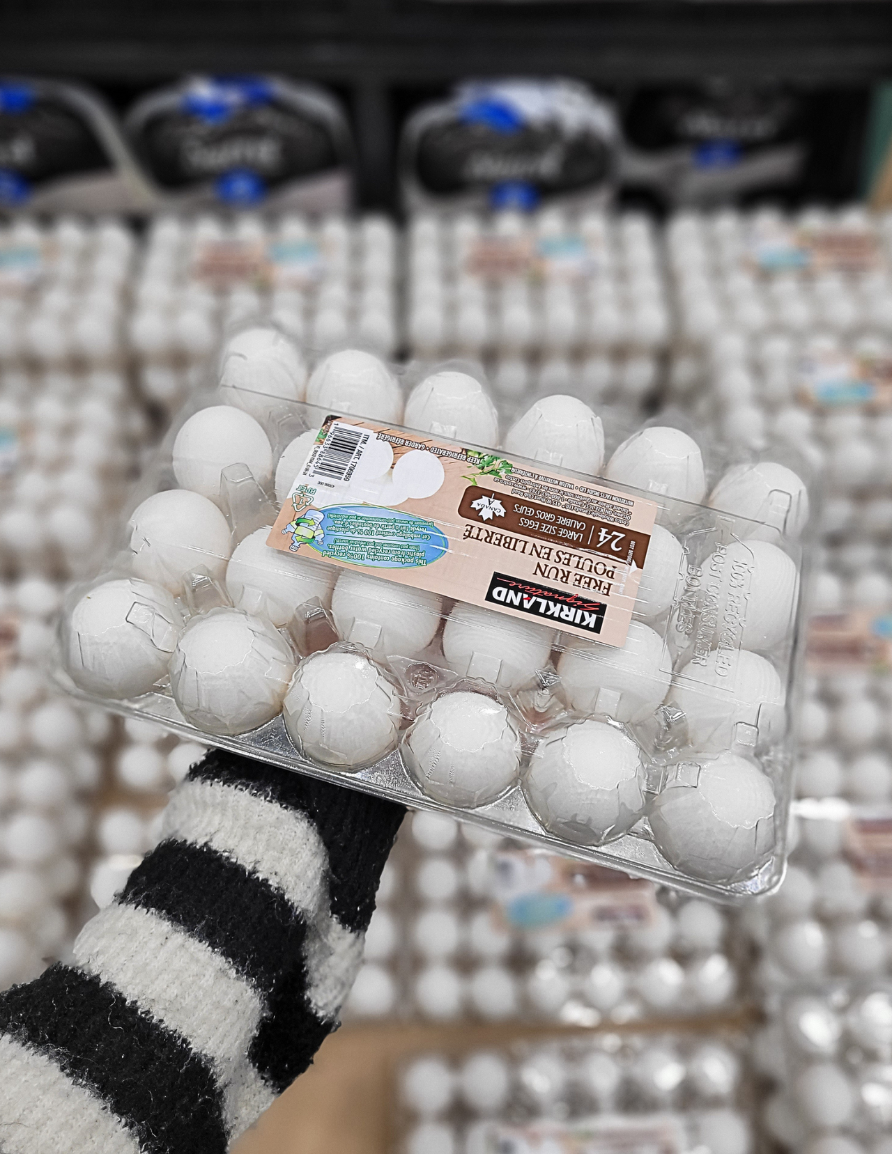 Kirkland Signature Large Free Run Eggs 24-pack - 1 x 1.509 Kilos