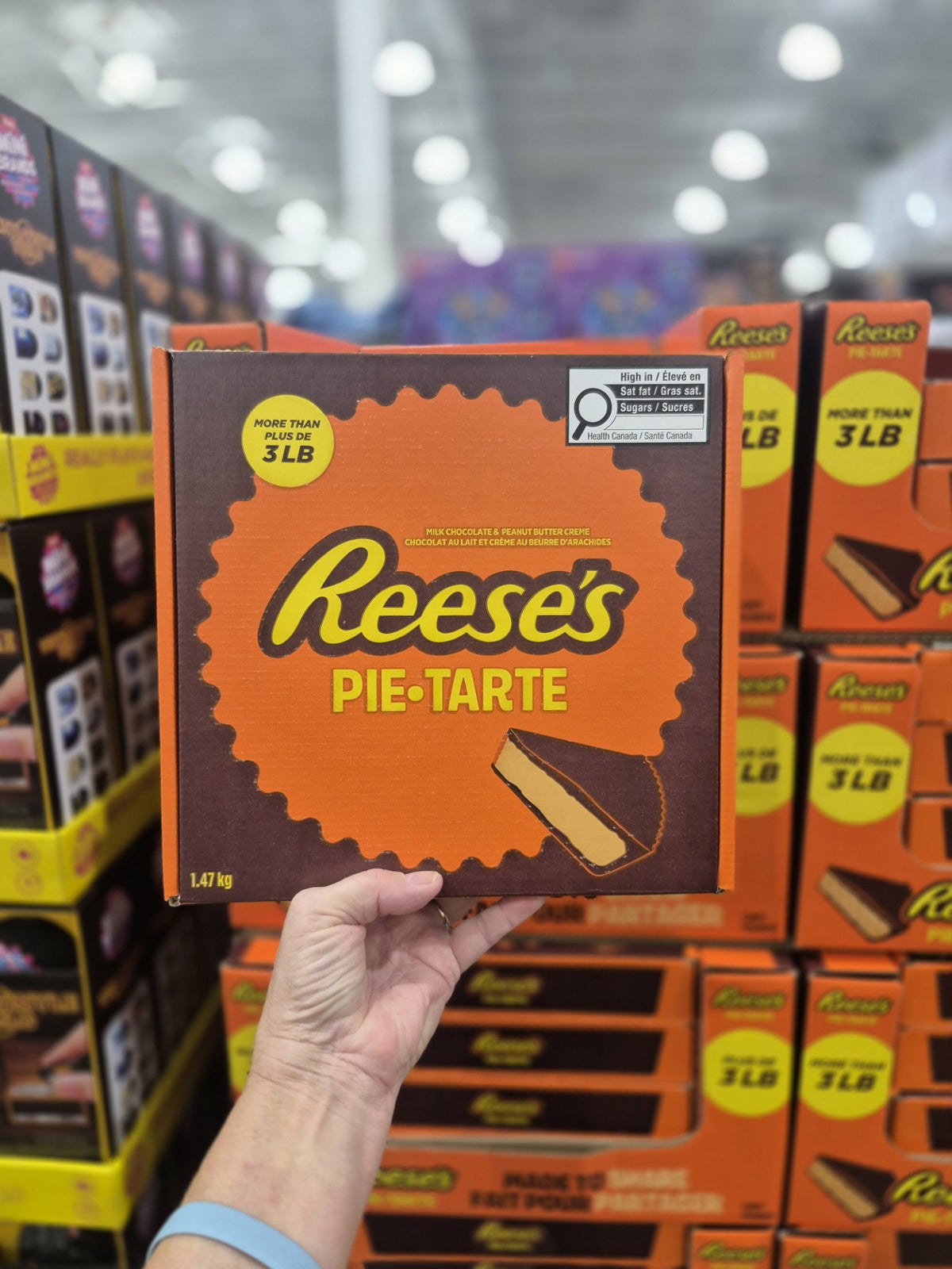 Reese's Peanut Butter Pie - 1 x 1.47KG