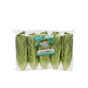 GreenHouse Romaine Lettuce - 1 x 1.5 Kilos