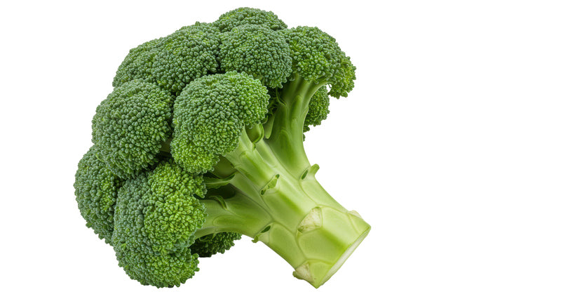 Broccoli 1 pck - 1 x 600 Grams