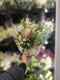 Thumbnail for Flowers 1 Bunch *ship at own risk - 1 x 2 KG