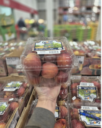Thumbnail for Yellow Peaches - 1 x 1.36 Kilos