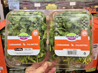 Thumbnail for Cilantro - 2 x 60 Grams