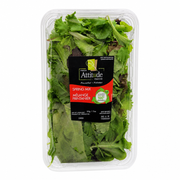 Spring Lettuce Mix - 1 x 312 Grams