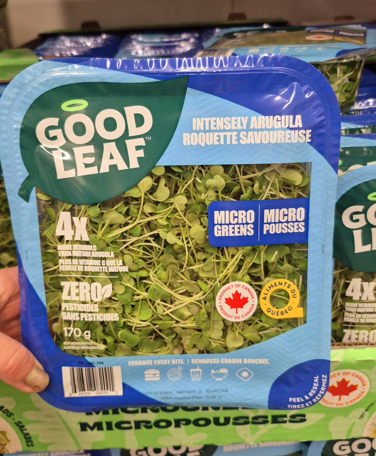 Intensely Arugula Micro Greens - 1 x 170 Grams