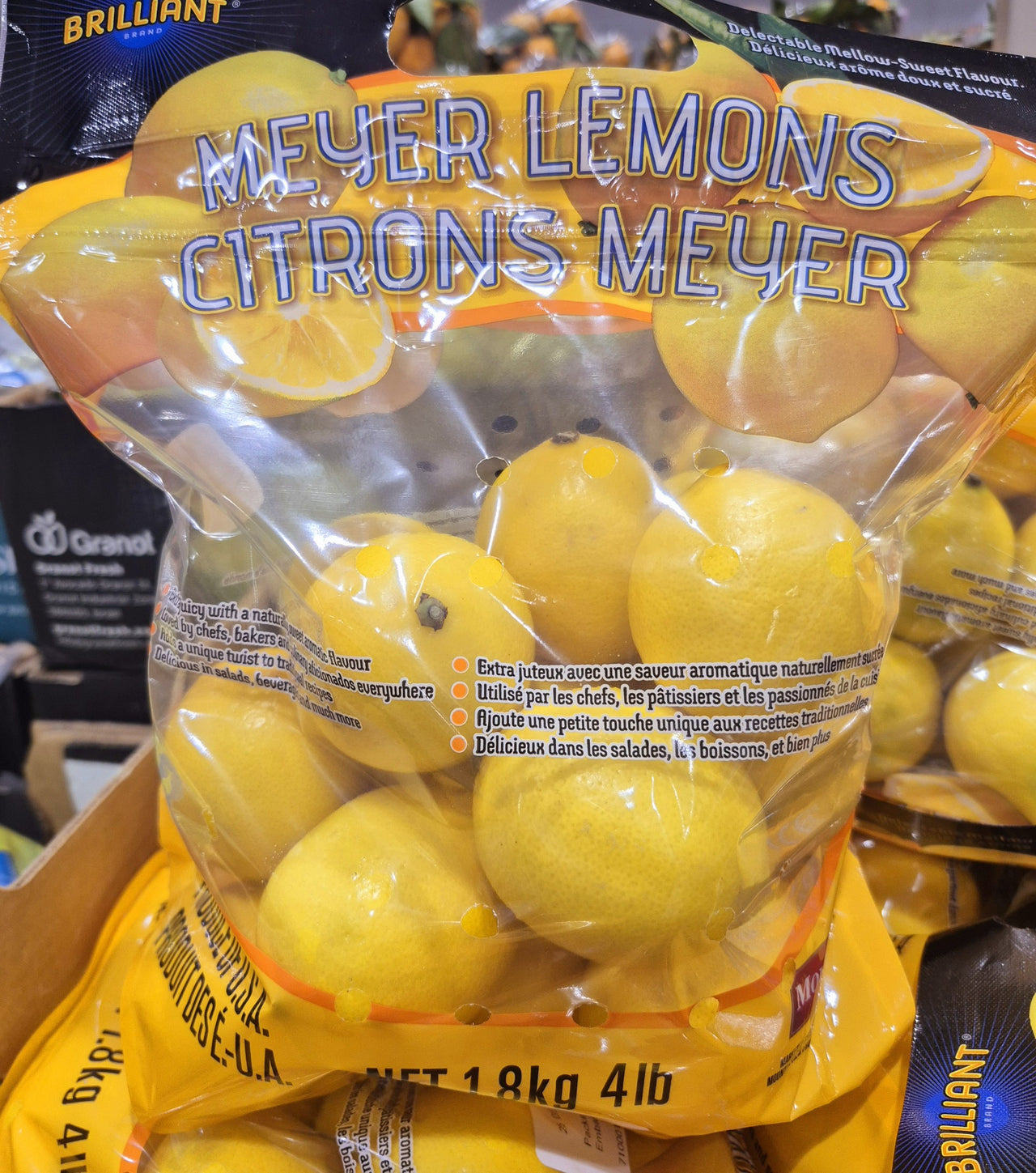 Meyer Lemons - 1 x 1.8 KG