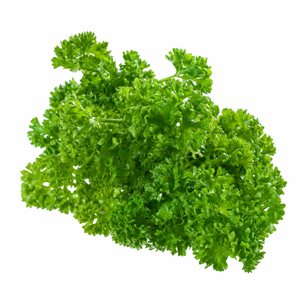 Parsley Curly Bunch - 1 x 180 Grams