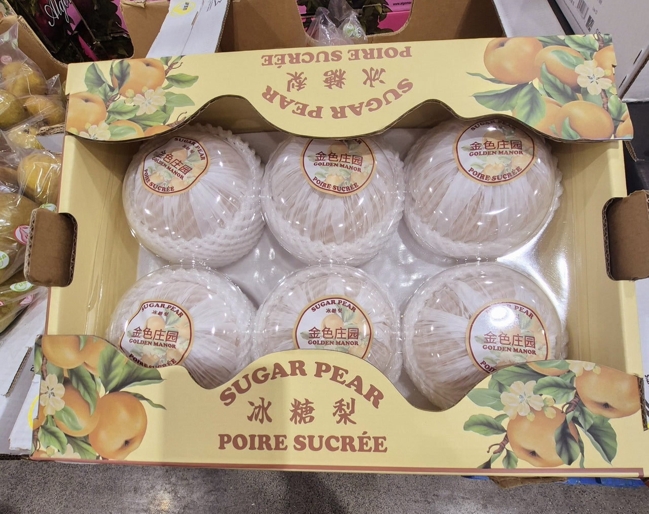 Sugar Pears - 1 x 3 KG