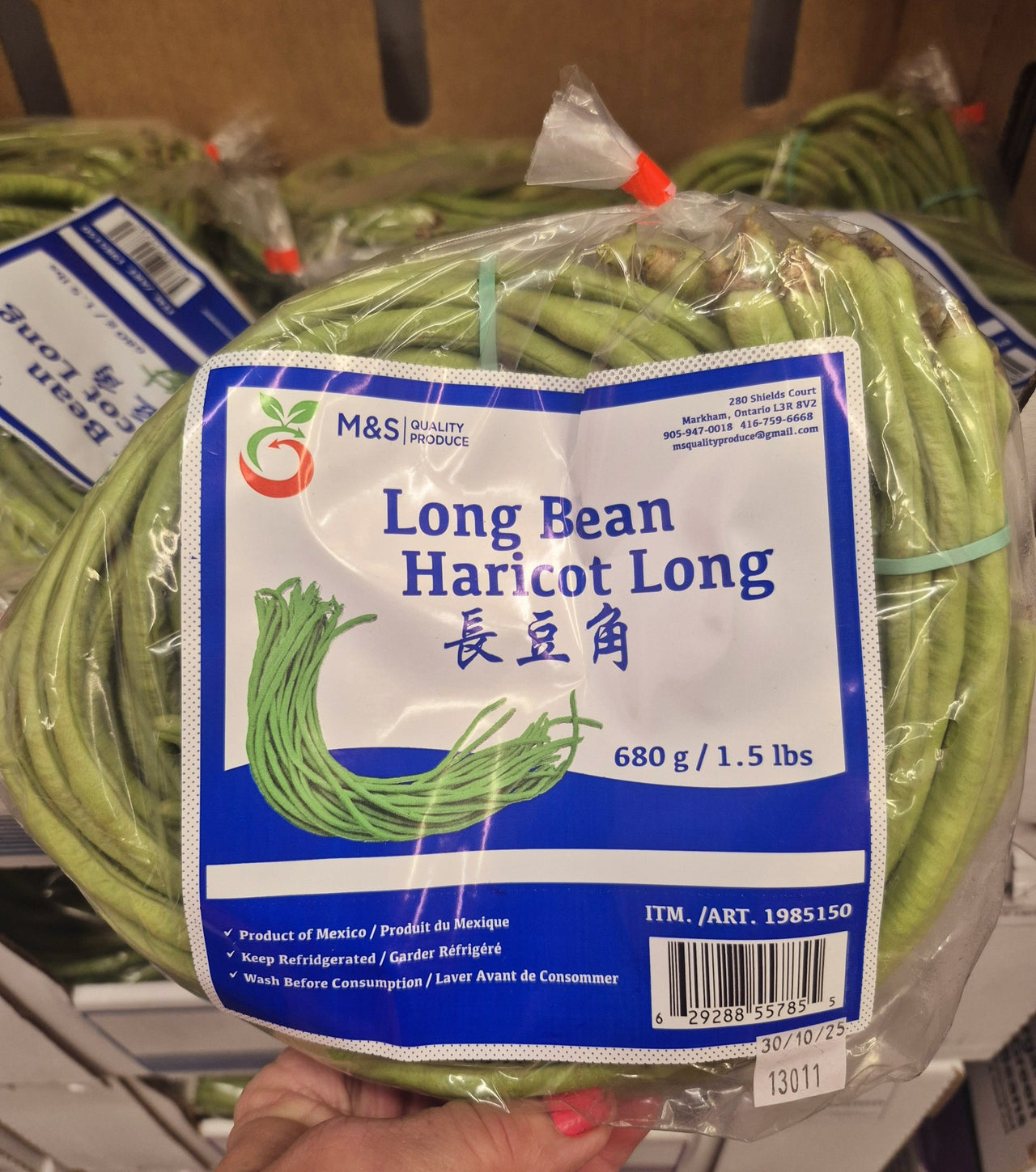 Long Beans - 1 x 680 Grams