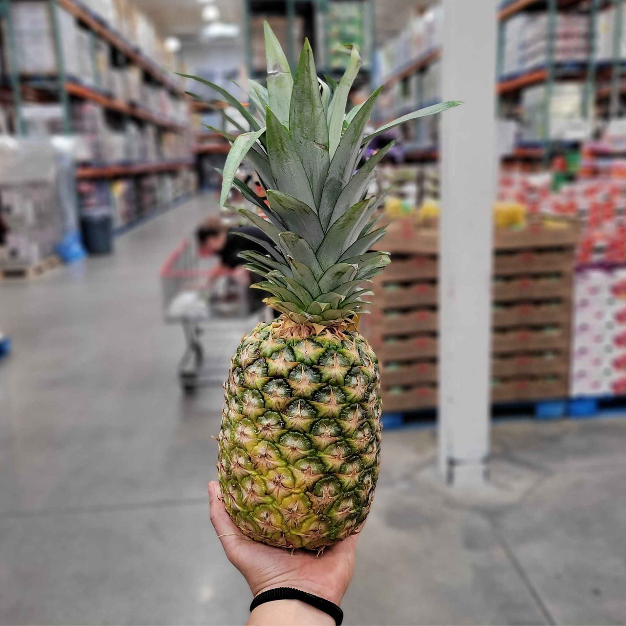 Image of Pineapple - 1 x 2.27 Kilos