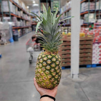 Thumbnail for Image of Pineapple - 1 x 2.27 Kilos