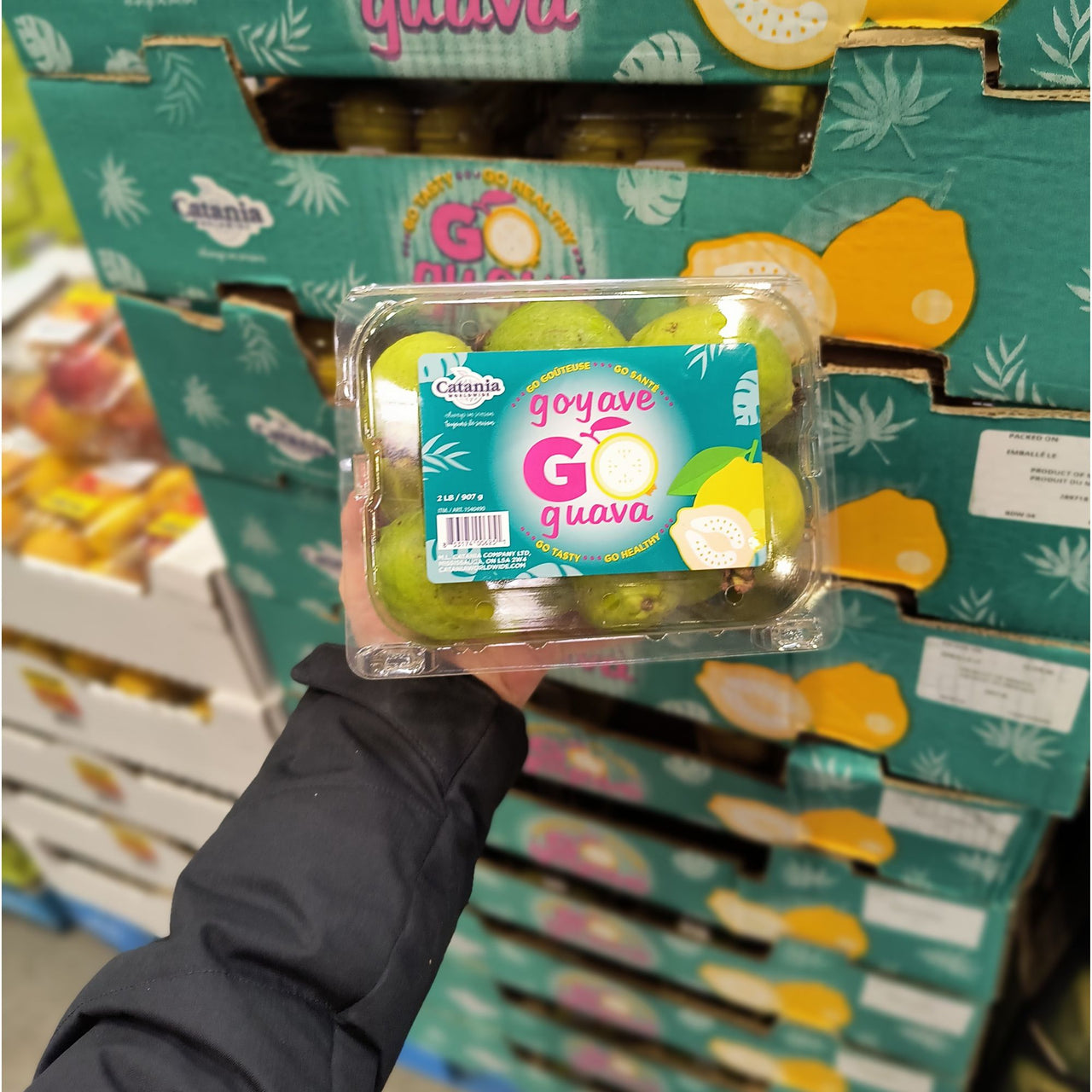 Image of Guavas - 1 x 907 Grams