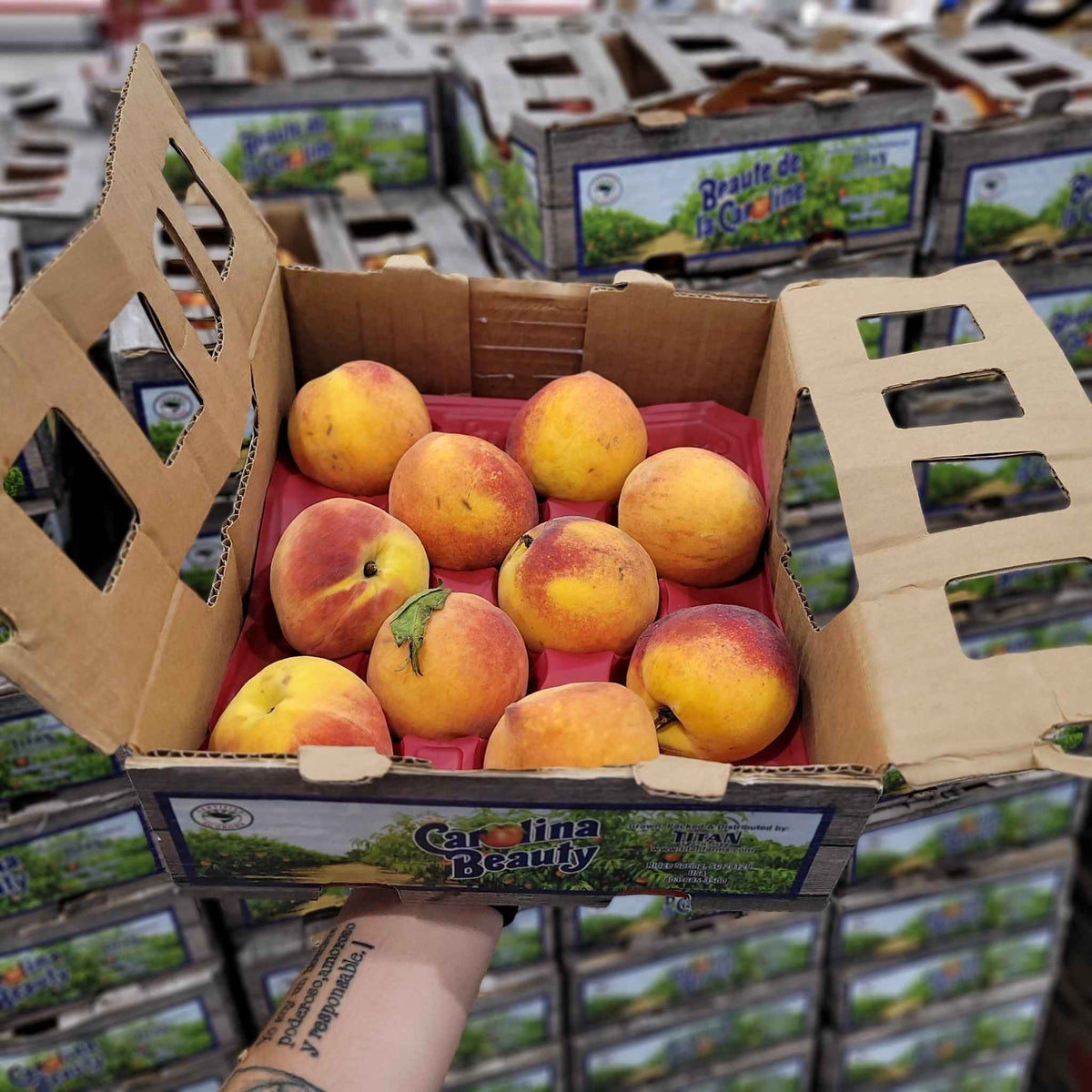 Image of Peaches - 1 x 1.81 Kilos
