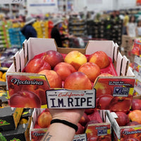 Thumbnail for Image of Yellow Nectarines - 1 x 1.81 Kilos