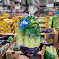 Thumbnail for Image of Banana Bunch - 1 x 1.4 Kilos