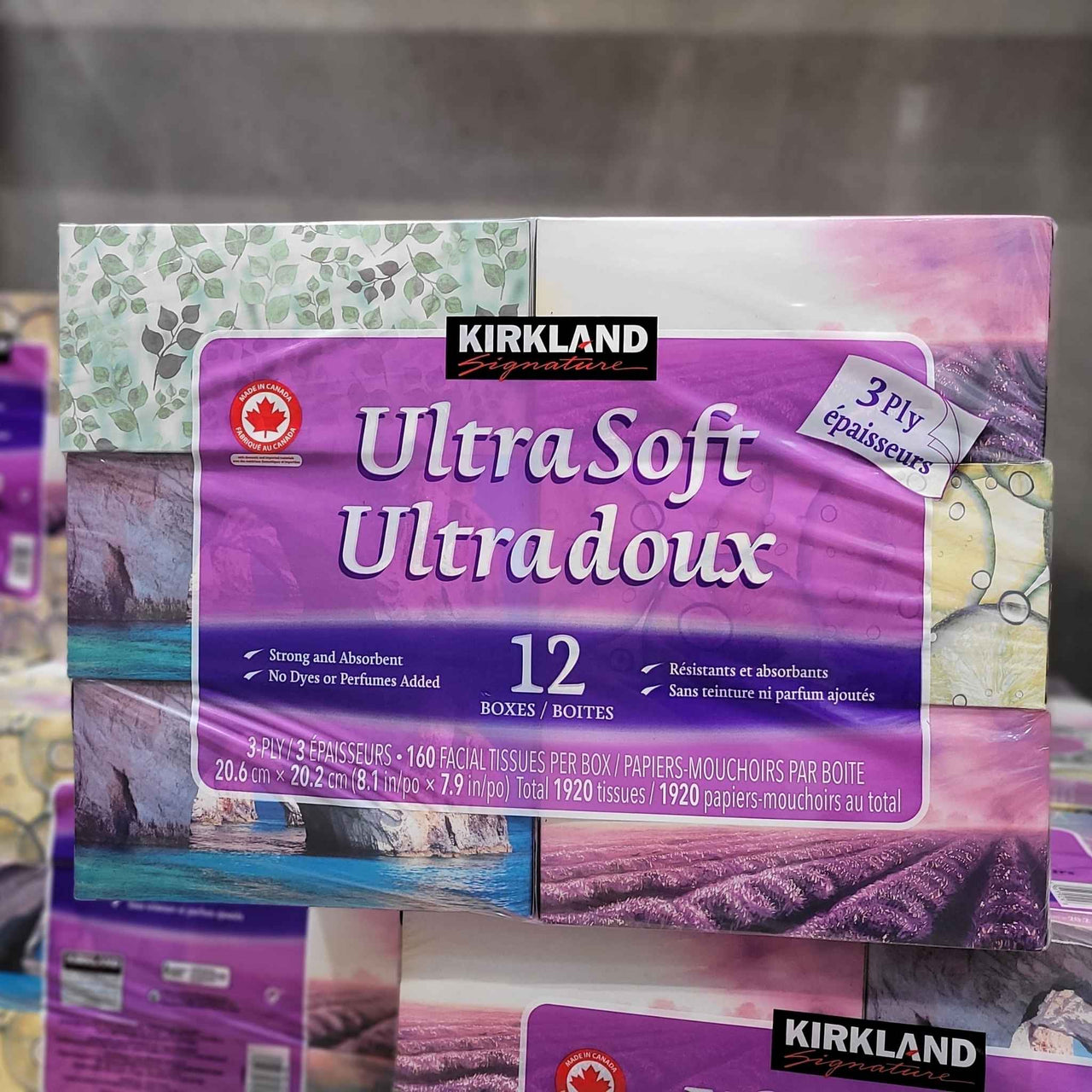Image of Kirkland Facial Tissue 12-Pack - 1 x 4 Kilos
