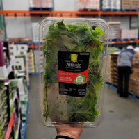 Thumbnail for Image of Spring Lettuce Mix - 1 x 312 Grams