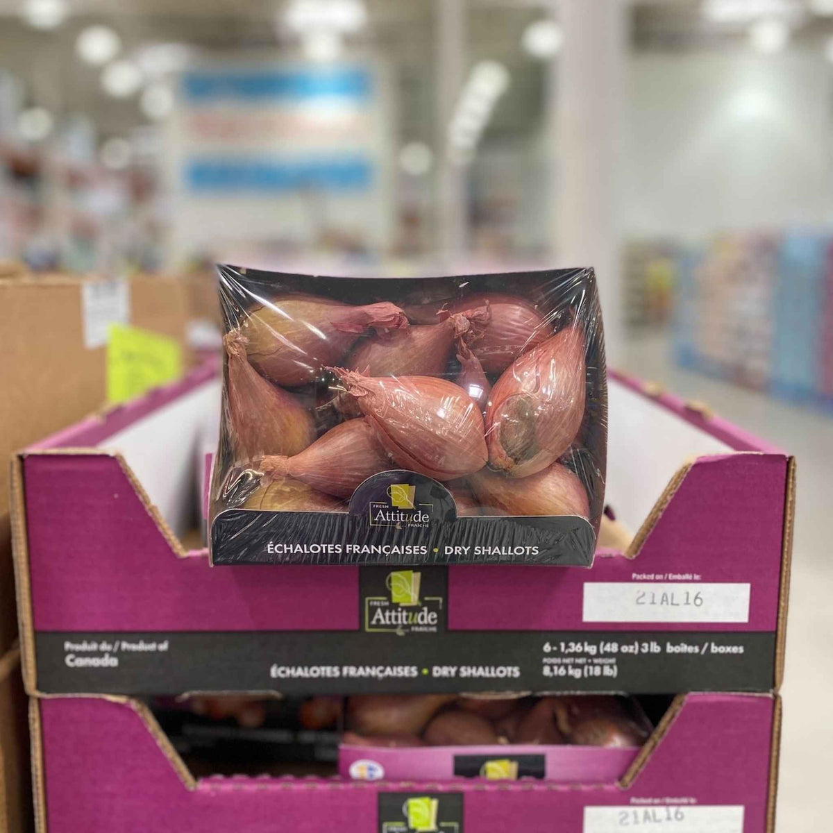 Image of Shallots - 1 x 1.36 Kilos